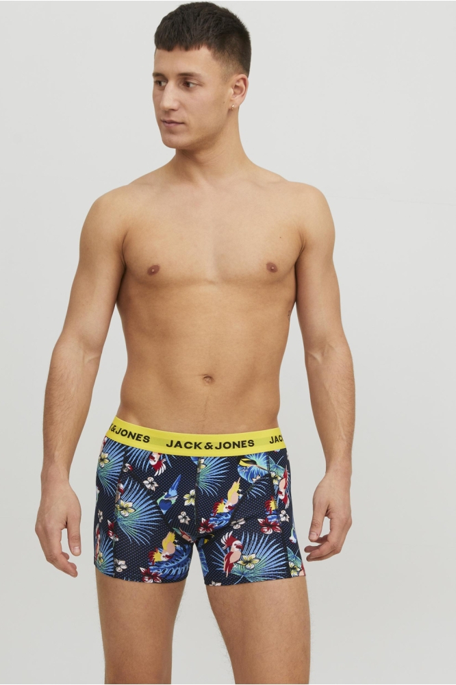 JACFLOWER BIRD TRUNKS 3 PACK NOOS 12194104 Surf The Web